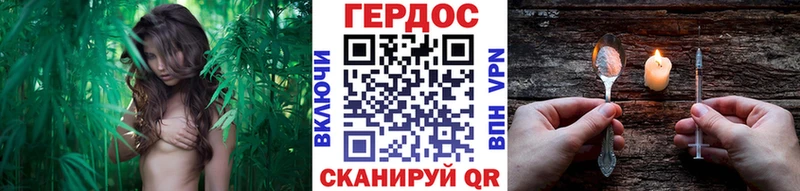Героин хмурый  Кириллов 