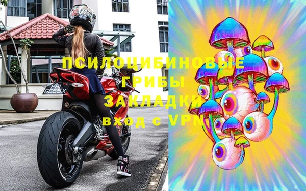 стафф Алексин