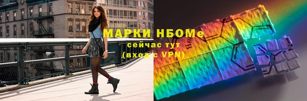 стафф Алексин