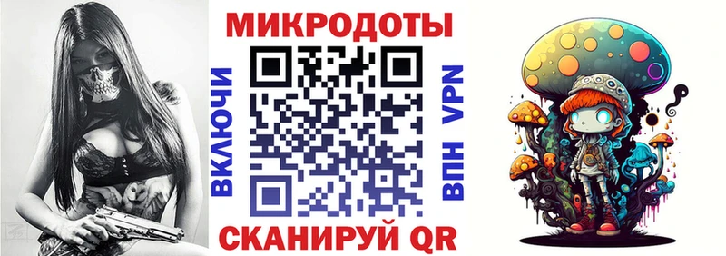Псилоцибиновые грибы Psilocybe  Кириллов 